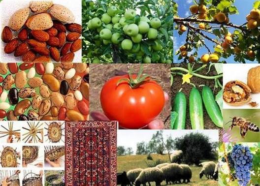 راهکارهای فروش محصولات روستایی راهکارهای فروش محصولات روستایی